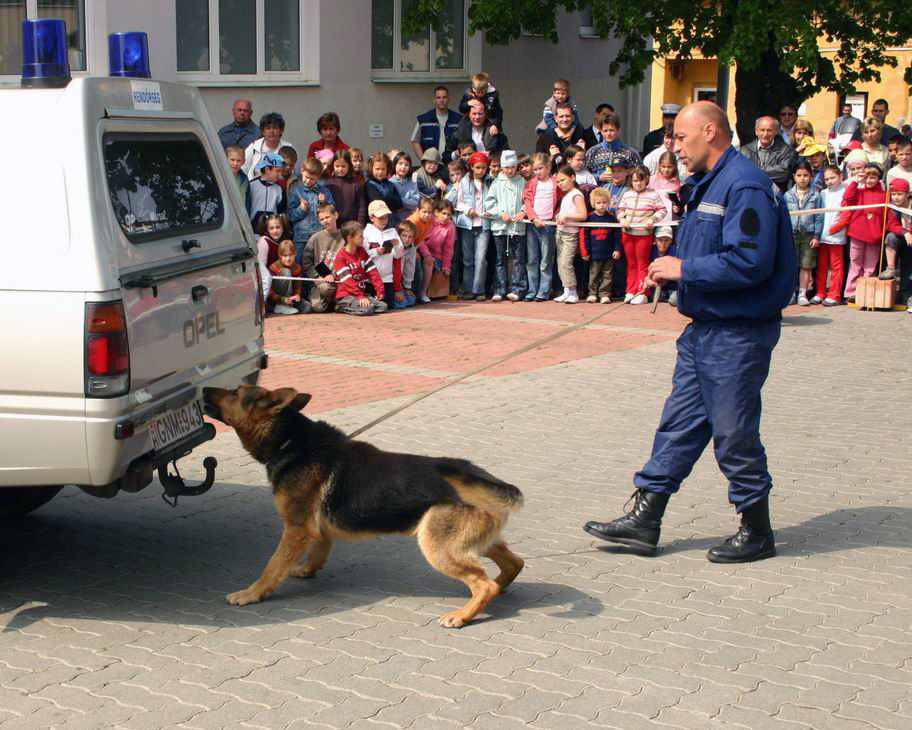 bűnügyi