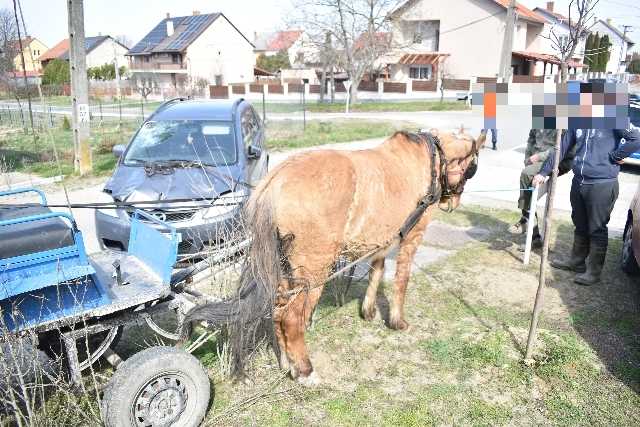 kép