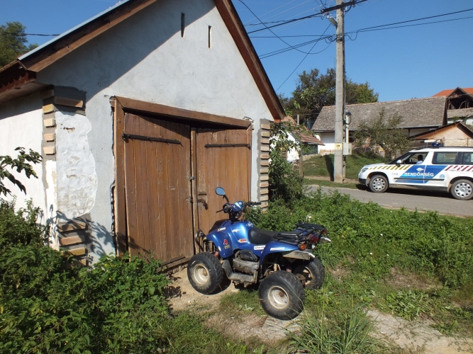 kép