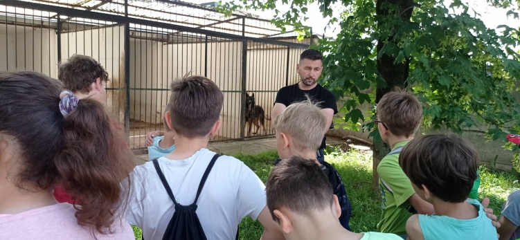 kép
