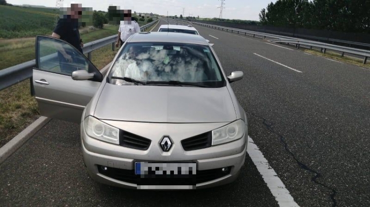 kép
