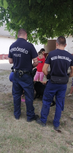 kép
