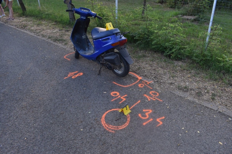 kép