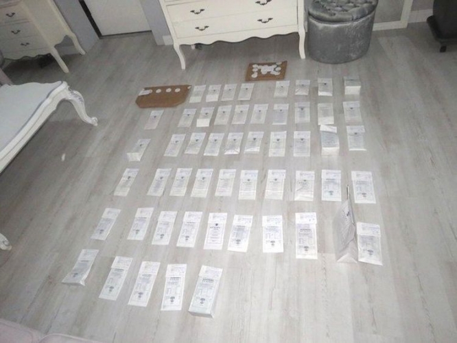 kép