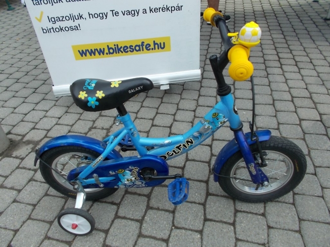 Kép1