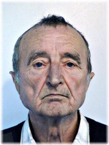 Nováki József