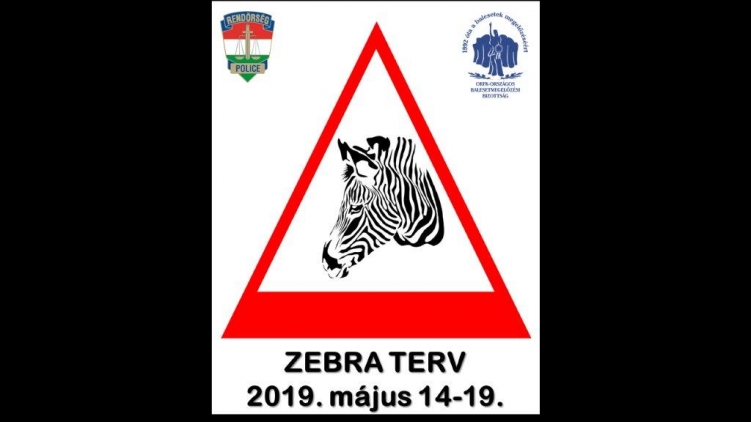 Zebra terv