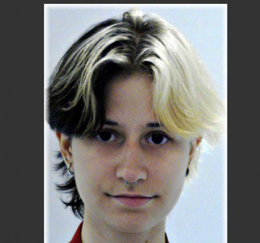 Eltűnt Váczi Diána Vivien a XI. kerületből