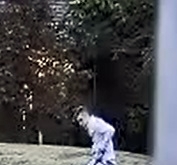 '