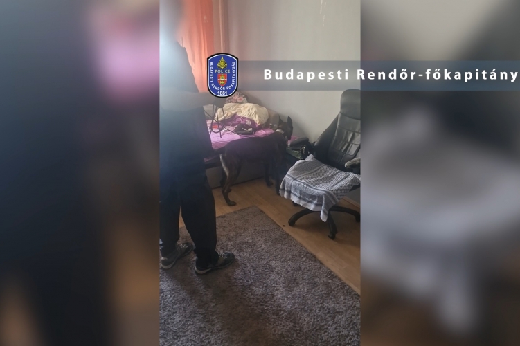 Lopott dolgokkal is fizethettek a kristályért