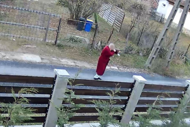 Elfogták a macskák rémét